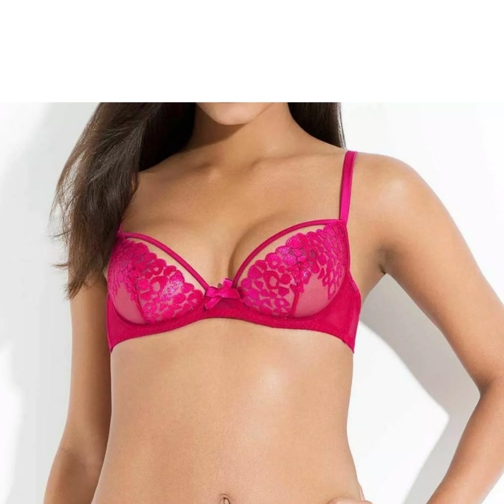 NWT L’Agent by AP Odessa Mesh Demi Bra, Cerise
